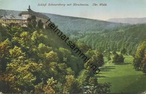 Schloss Schwarzburg - Hirschwiese - Verlag Richard Zieschank Ronneburg - Landpoststempel Bad Finkenmühle gel. 1932