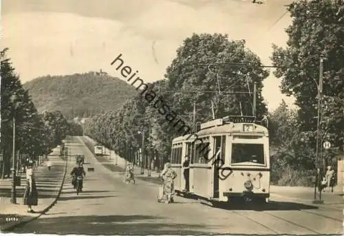 Görlitz-Süd - Biesnitzer Strasse - Landeskrone - Foto-AK Grossformat - Verlag Steudtner KG Görlitz gel. 1961