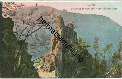 Bodetal im Harz - Brunhildenweg - Hotel Rosstrappe - AK 1908 - Verlag C. Greve Blankenburg