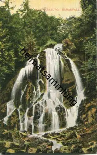 Bad Harzburg - Radaufall - AK ca. 1910 - Verlag F. O. C.