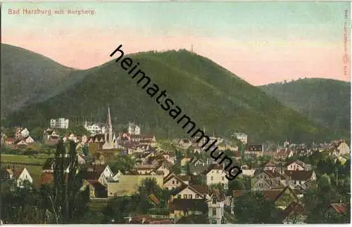 Bad Harzburg - Gesamtansicht - AK ca. 1910 - Verlag Louis Glaser Leipzig
