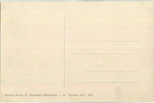 Braunschweig - Burgplatz - AK ca. 1910 - Verlag E. Baxmann Hildesheim