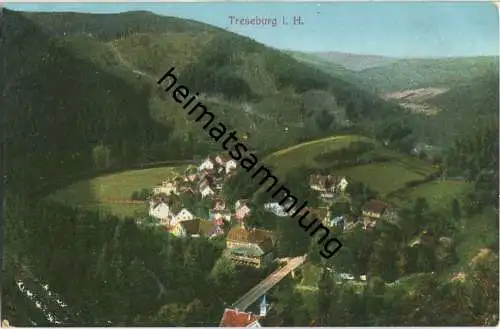 Treseburg - Gesamtansicht - AK ca. 1910 - Verlag R. Lederbogen Halberstadt
