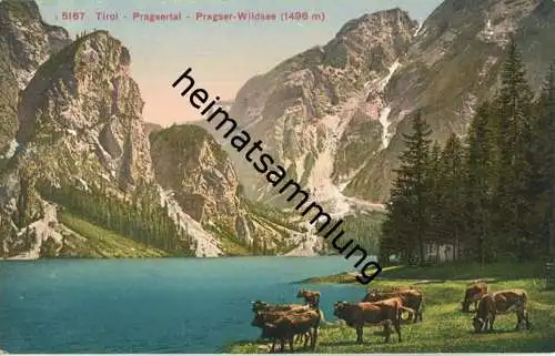 Pragsertal - Pragser Wildsee - AK ca. 1910 - Verlag Photoglob Co Zürich