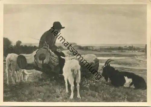 HDK439 - Jul. Paul Junghanns - Im Wolkenschatten - Ziegen - Verlag Photo-Hoffmann München