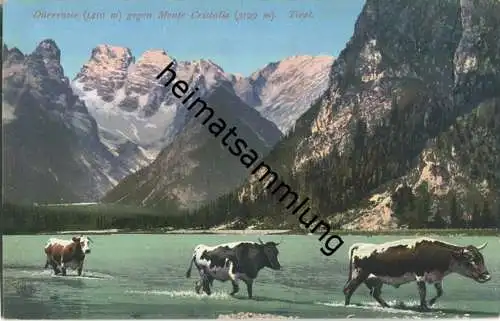 Dürrensee - Monte Cristallo - AK ca. 1910 - Verlag Joh. F. Amonn Bozen