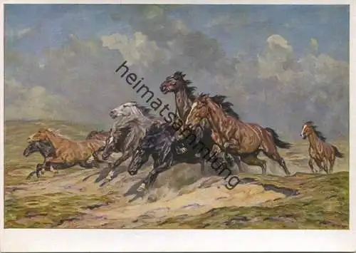 HDK153 - Alfred Roloff - Flüchtende Pferde - Verlag Photo-Hoffmann München