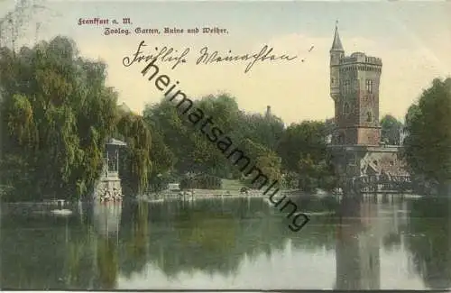 Frankfurt a. M. - Zoologischer Garten - Ruine und Weiher - Verlag L. Klement Frankfurt gel. 1908
