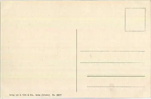 Alpenhotel Hochfinstermünz - Aussicht - AK ca. 1910 - Verlag A. Trüb & Cie Aarau