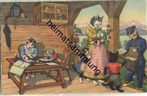 Vermenschlichte Katzen - Die Post ist da - No. 4744 Edition Max Künzli Zürich 6