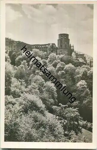 Die Heidelberger Schlossruine - Foto-AK - Verlag Steiniger-Bilddrucke Berlin