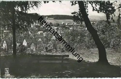 Walkenried - Blick vom Kupferberg - Foto-AK - Verlag Klinke & Co. Berlin