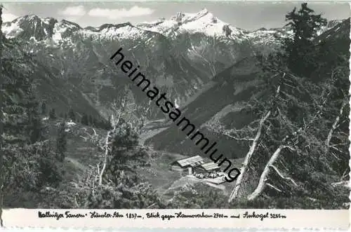 Mallnitzer Tauern - Häusler-Alm - Blick gegen Hannoverhaus - Foto-Ansichtskarte - Verlag Reinhart Hebein Mallnitz