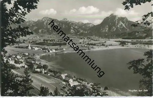 Hopfen am See - Foto-Ansichtskarte - Verlag Foto-Kohlbauer Pfronten