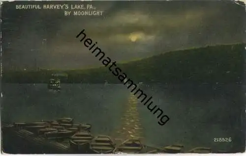 Pennsylvania - Harvey's Lake by moonlight
