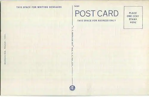 Tennessee - Pulaski - Home of Mrs. T. B. Ward Jr.