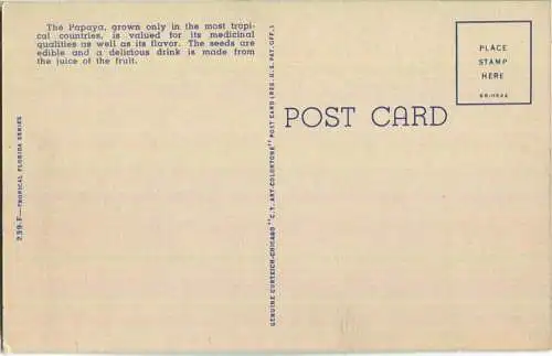 Florida - Papaya Plantation