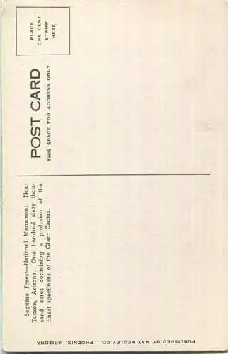 Arizona - Saguaro Forest