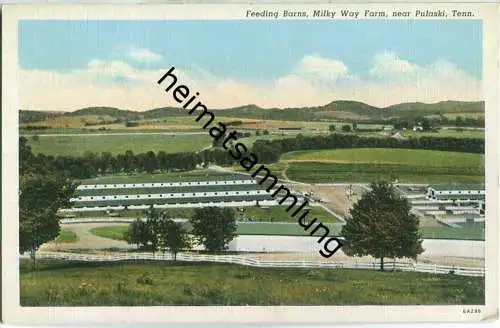 Tennessee - Pulaski - Feeding Barns - Milky Way Farm