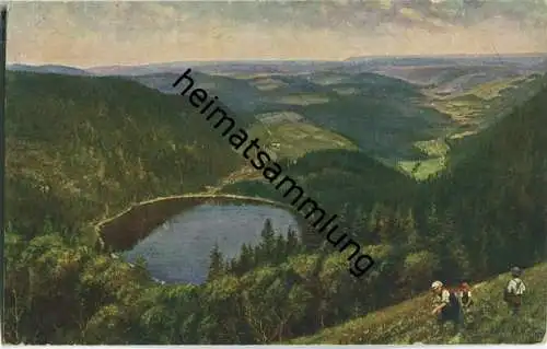 Feldberg-Seebuck - Feldsee - signiert Hoffmann - Verlag Edm. von König Heidelberg