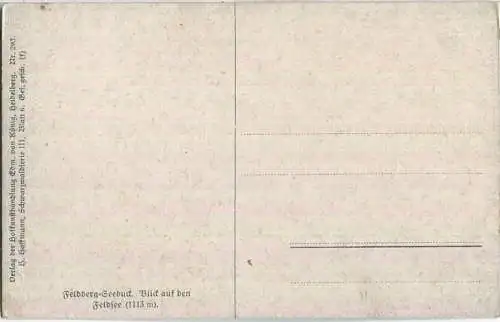 Feldberg-Seebuck - Feldsee - signiert Hoffmann - Verlag Edm. von König Heidelberg
