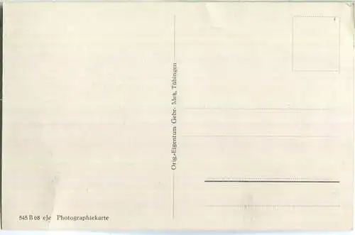 Bebenhausen - Klostergarten - Foto-Ansichtskarte - Verlag Gebr. Metz Tübingen