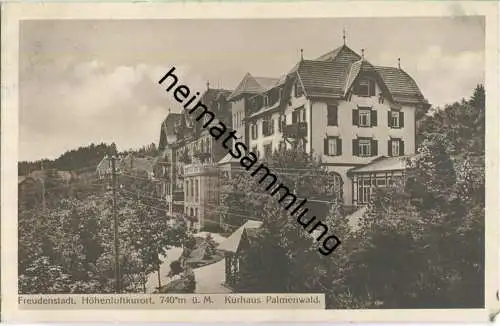 Freudenstadt - Kurhaus Palmenwald - Verlag C. Fiedler Freudenstadt (G56127y)gel. 1912