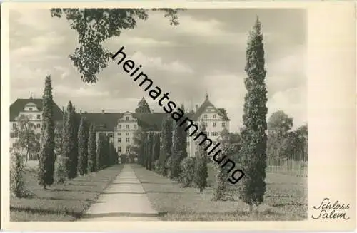 Salem - Schloss - Foto-Ansichtskarte - Verlag Lauterwasser Überlingen