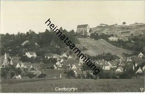 Cleebronn - Foto-Ansichtskarte