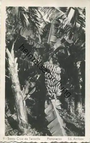Santa Cruz de Tenerife - Plataneras - Foto-AK - gel. 1954