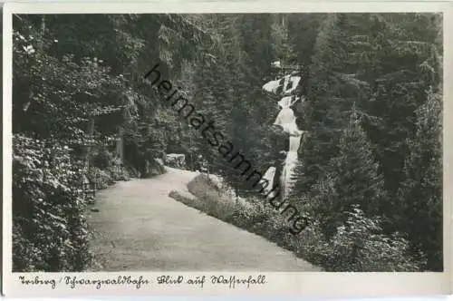 Triberg - Blick auf Wasserfall - Foto-Ansichtskarte - Verlag Kiosk an den Wasserfällen August Schäfer Triberg