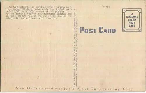 New Orleans - Unloading Bananas - Fruit Wharf