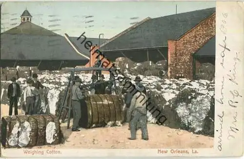 New Orleans - weighing cotton
