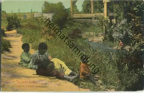 African-Americans - a still hunt