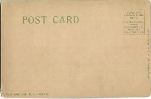 African-Americans - cotton gin