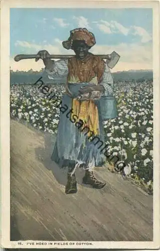 African-Americans - I've hoed in fields of cotton