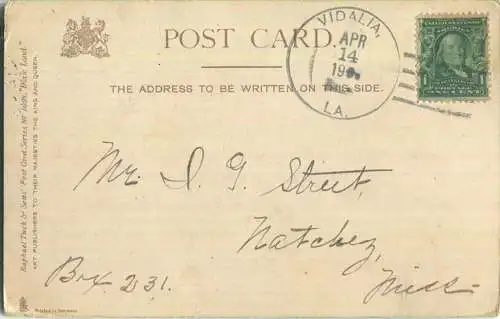 African-Americans - picking cotton