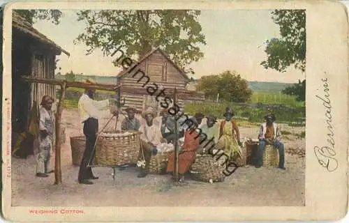 African-Americans - Weighing cotton