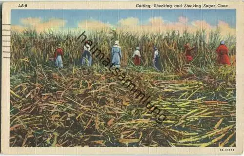 African-Americans - cutting shocking and stocking sugar cane