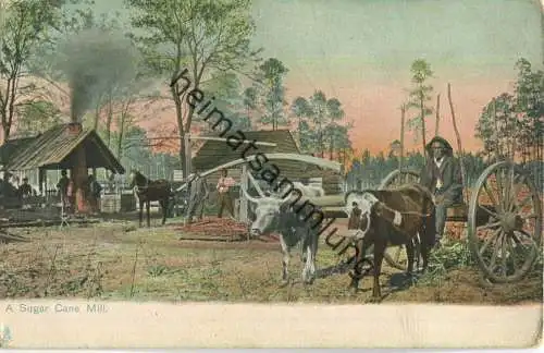 African-Americans - A sugar cane mill