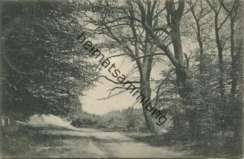 Partie im Deister - Verlag Albert Windhorn Barsinghausen - gel. 1909