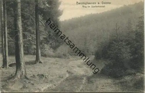 Barsinghausen am Deister - Weg im Spalterhalstal - Verlag August Brandes Barsinghausen - gel. 1909