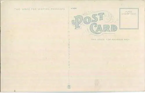 African-Americans - Cotton Harvest