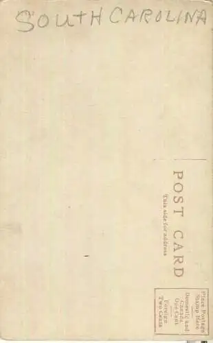 African-Americans - Drap dat Chicken