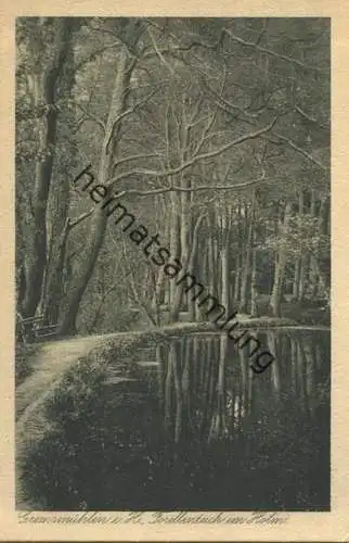 Gremsmühlen - Forellenteich im Holm - Verlag Jens Fissau