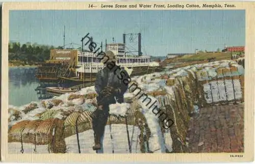 African-Americans - Loading Cotton - Memphis Tenn.