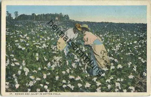 African-Americans - Romeo and Juliet in Cotton Field