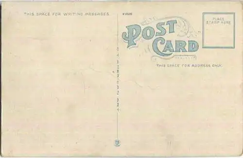 African-Americans - Romeo and Juliet in Cotton Field