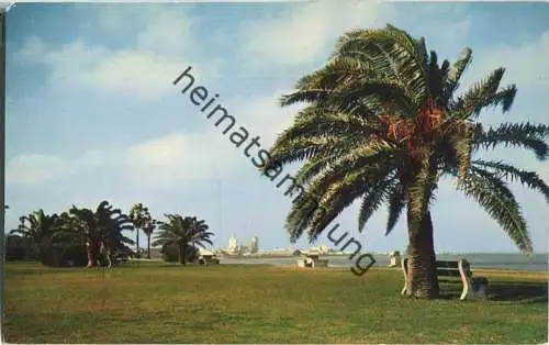 Florida - Tallahassee - Souternaire Motel