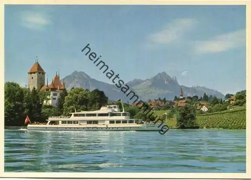 MS Beatus auf dem Thunersee bei Spiez - AK Grossformat - Edition BLS Bern - Foto F. Meyer-Henn Bern